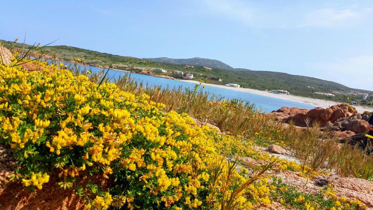 Casa Vacanza Costa Rossa Vista Mare Trinità dʼAgultu Extérieur photo